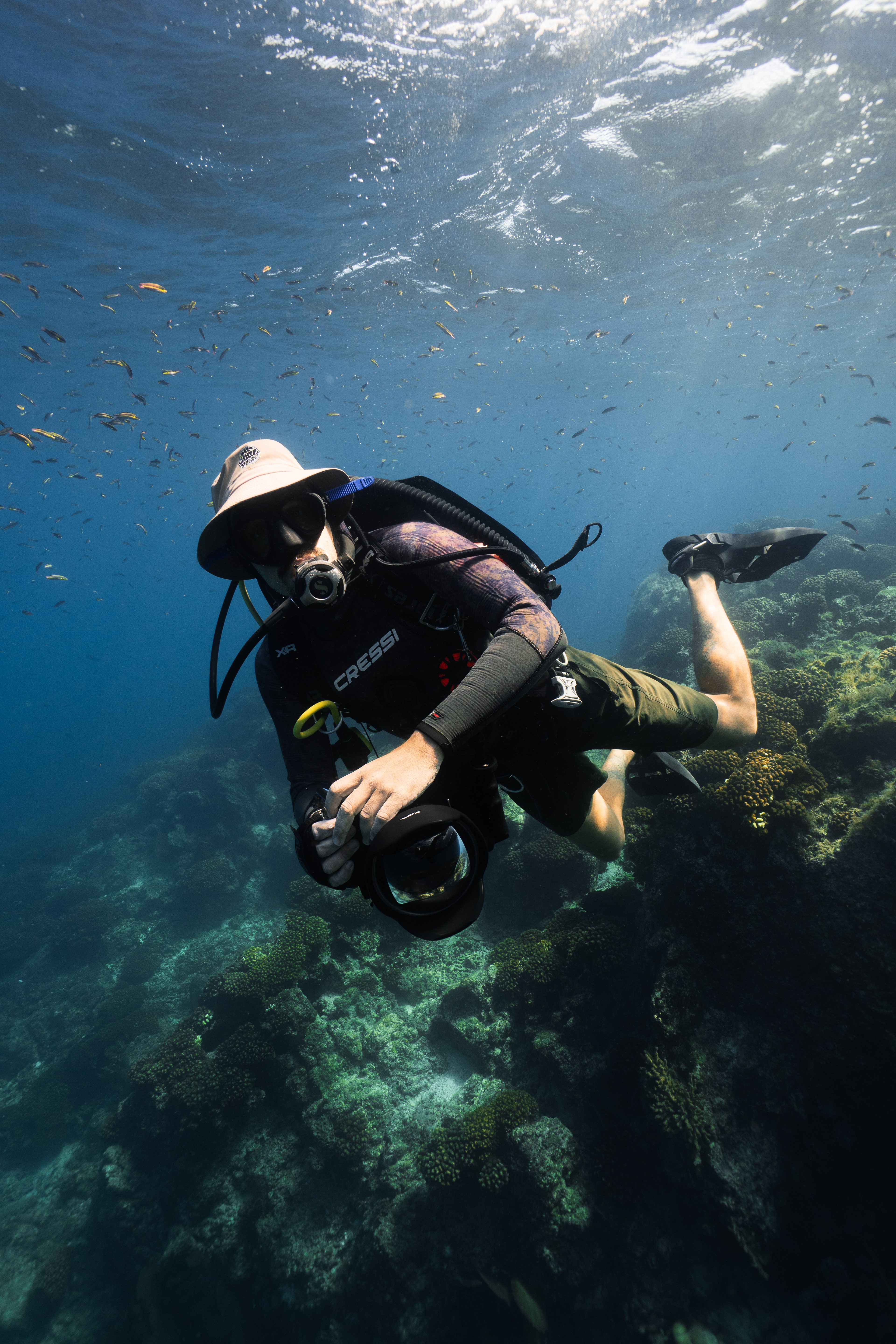 Diving in the Sea of Cortez