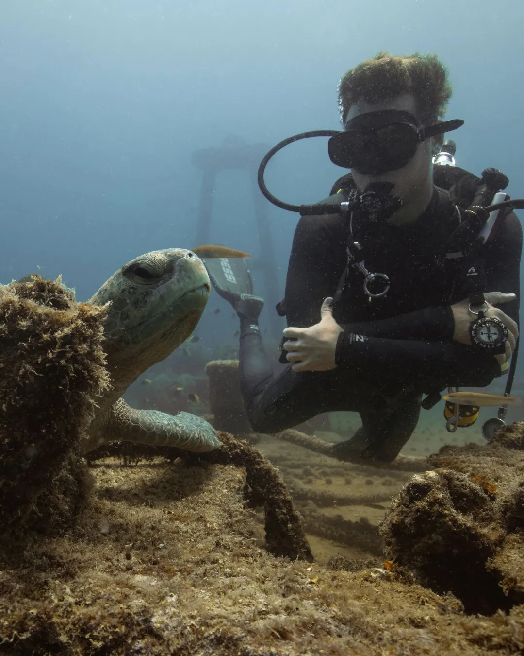 Ocean Safari — gallery 3