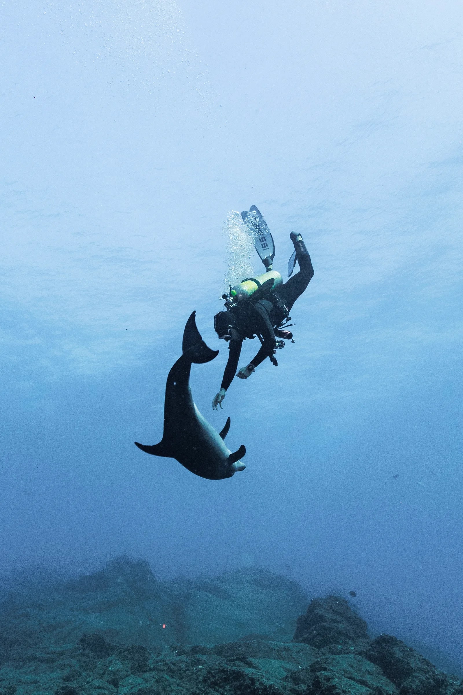 A diver and a giant manta facing each other in open water, neither closing the distance